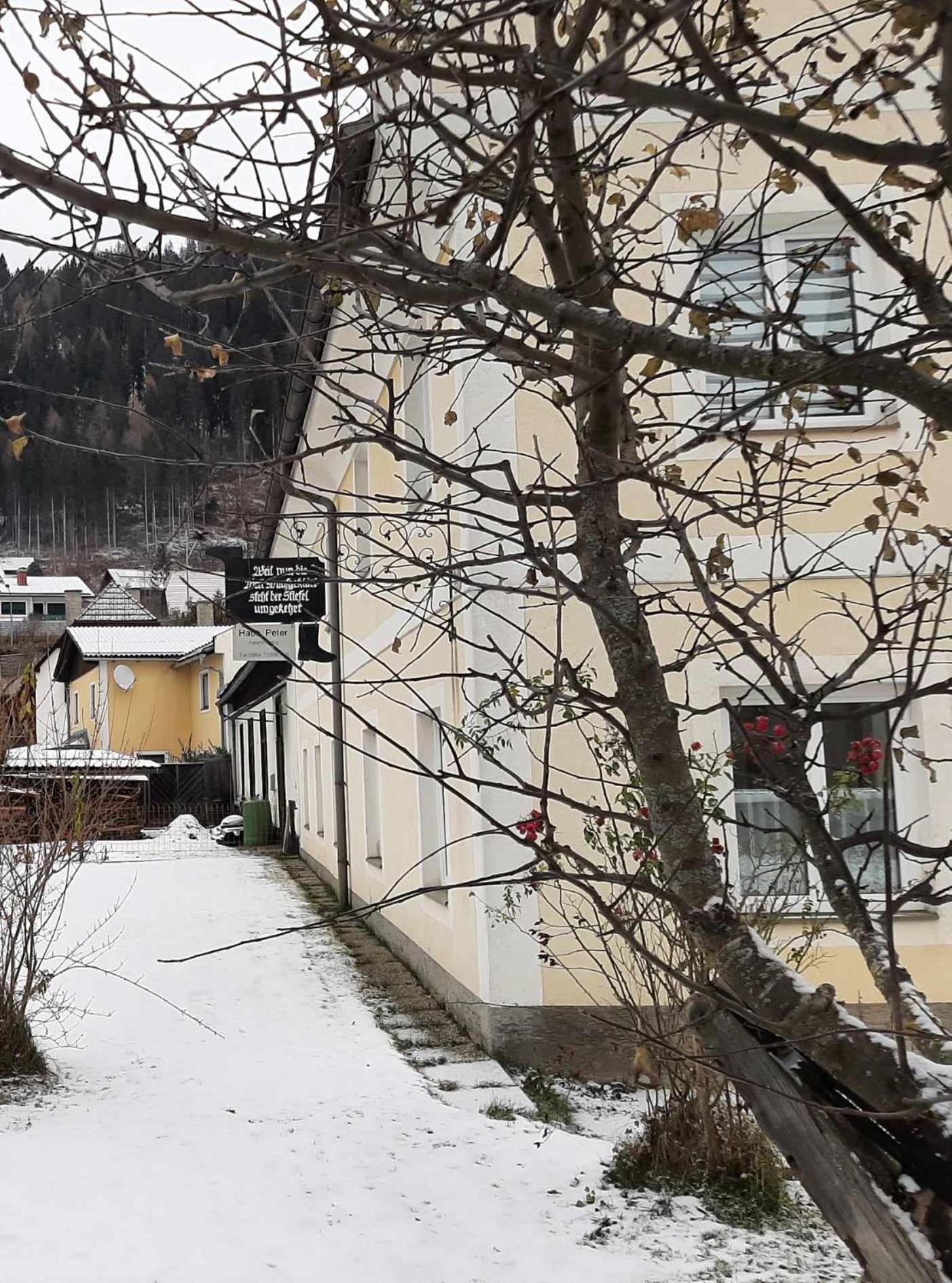 Haus Peter Apartamento Murau Exterior foto